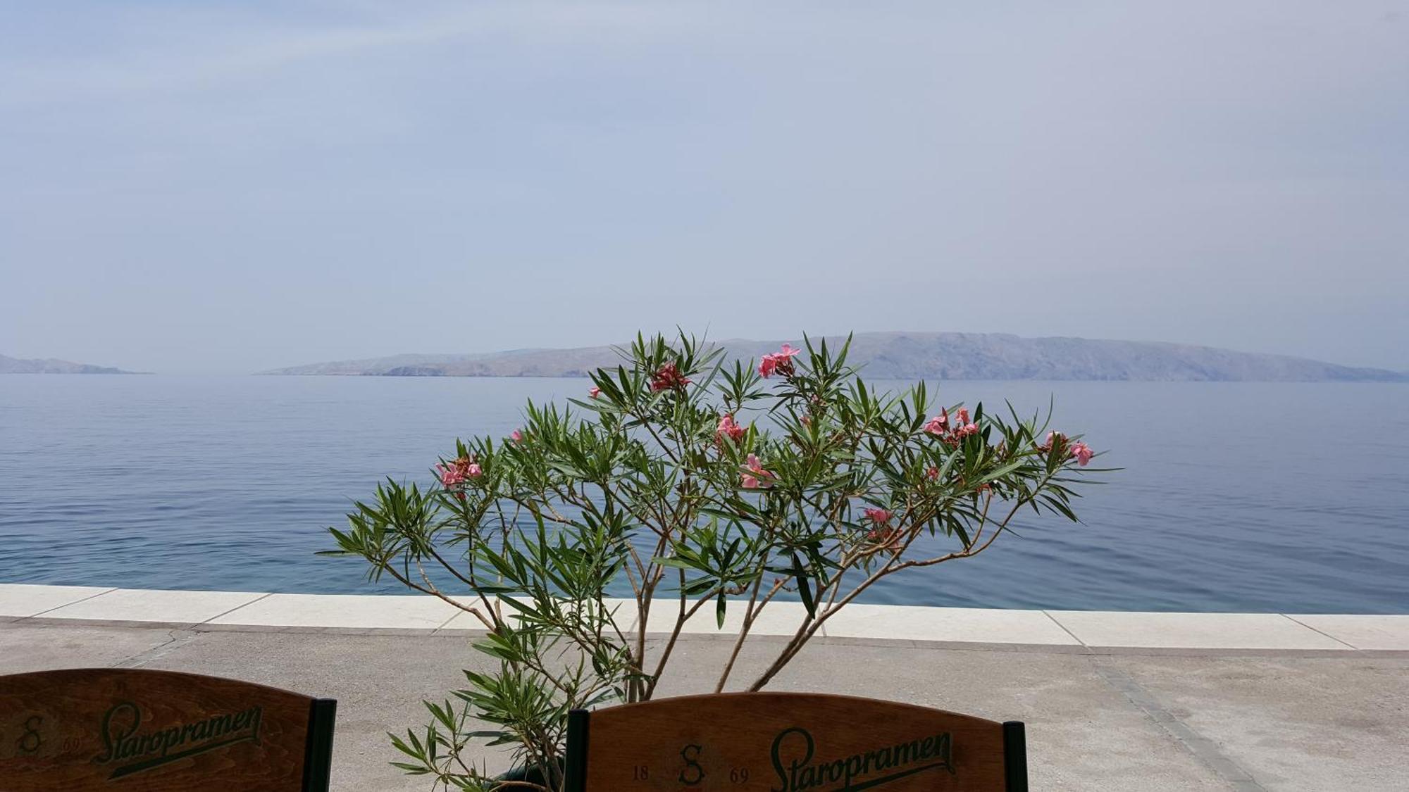 Apartman Bura Senj  Esterno foto